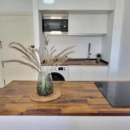 Precioso Estudio Romana Marbella